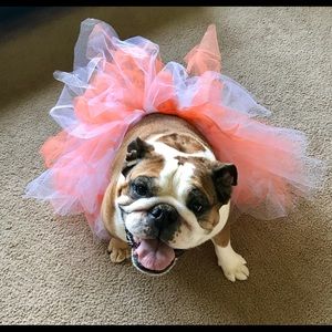 Meet your Posher, Kristi